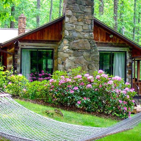 Asheville Cabins Of Willow Winds Εξωτερικό φωτογραφία