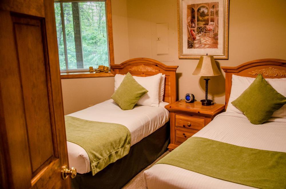 Asheville Cabins Of Willow Winds Εξωτερικό φωτογραφία