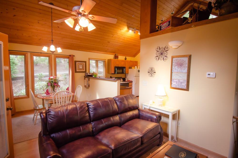 Asheville Cabins Of Willow Winds Εξωτερικό φωτογραφία
